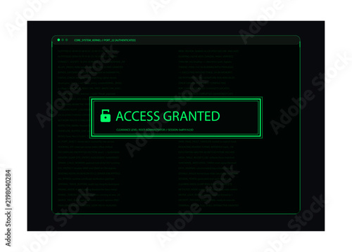 Cyber security system terminal window with access granted message and digital green code