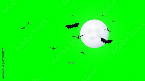 Bats Swarm Around a Full Moon on a Green Screen for Spooky Halloween Visuals