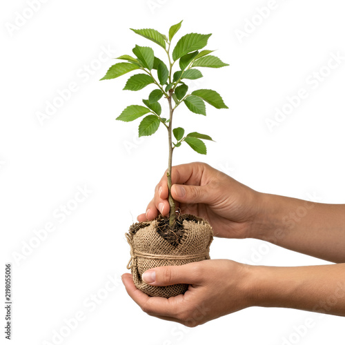 Eco-Friendly Agriculture Concept