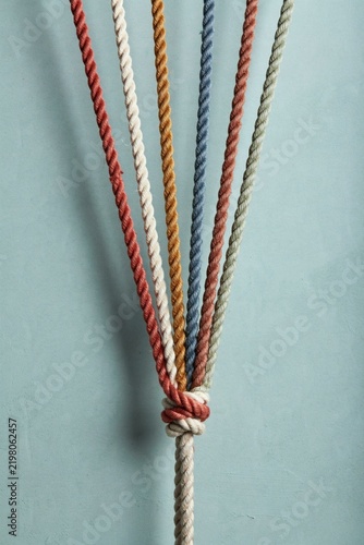 Six coloured ropes spliced into one thick rope against a sage green wall