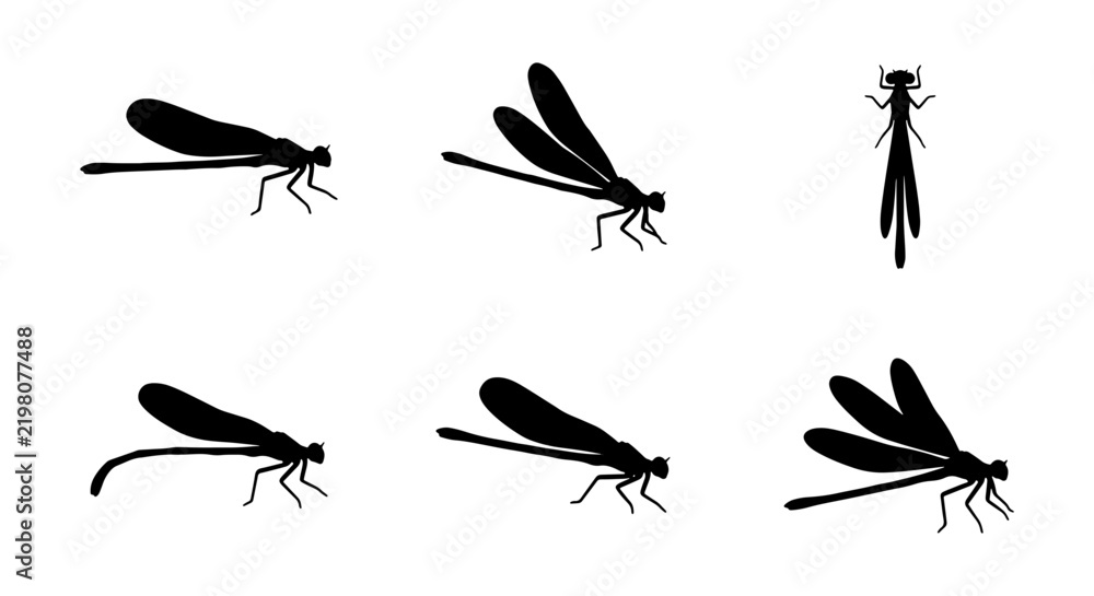Fototapeta premium Black Silhouette Damselfly Icons, Insect Vector Set, Delicate Flying Creature Graphics, Nature Wildlife Elements for Design
