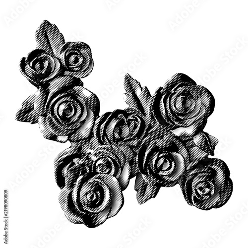 Arched rose spray with leaves in black engraving