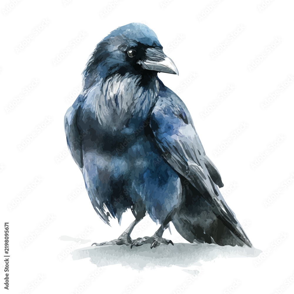 Fototapeta premium watercolor of Raven, vector, isolated on a white background.