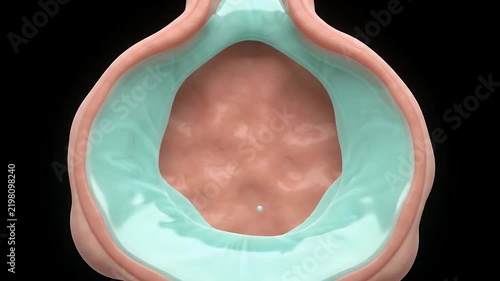 Continuous Alveolar Surfactant Spreading and Pulmonary Therapy Loop