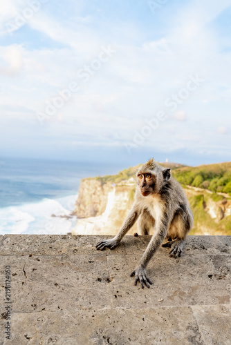 Dramatic ocean cliff with crashing turquoise waves and hidden beach under evening sky in Uluwatu, Bali, Indonesia.