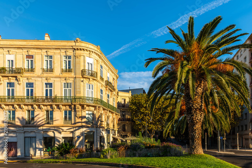 Building and palm tree in Sète, Occitanie, France