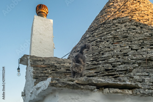 Traditional trulli houses and a stray cat on a street in Alberobello, Italy