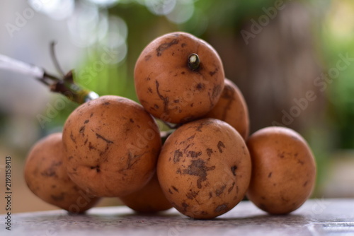 fruit is called greater tampoi aka aglaia sp with white fruit content and light brown fruit skin, Baccaurea macrocarpa fruit