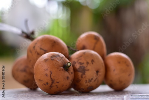 fruit is called greater tampoi aka aglaia sp with white fruit content and light brown fruit skin, Baccaurea macrocarpa fruit