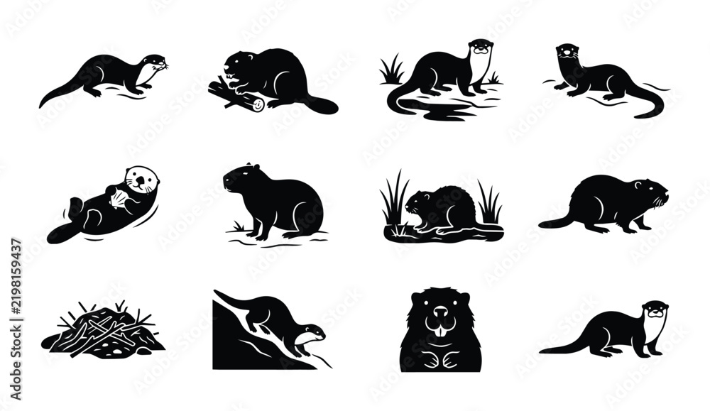 Obraz premium Aquatic mammals icon set for nature and wildlife outline, solid and color styles, white background