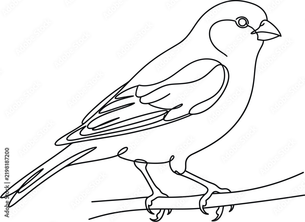 Fototapeta premium vector illustration of a bird