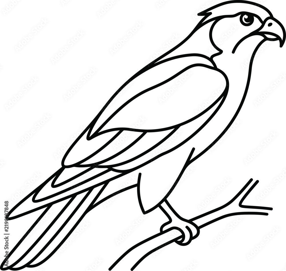 Obraz premium vector illustration of a parrot