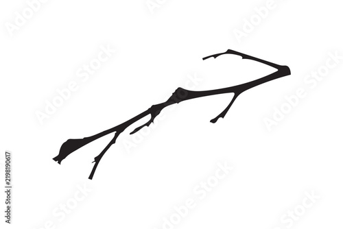 tree branch with black and white 