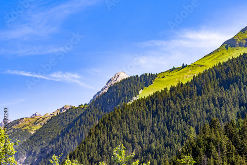 Mountain landscape with alpine forest and grassy slopes under blue sky, Austria, Tyrol, Lech Valley near Holzgau, 27 June 2026