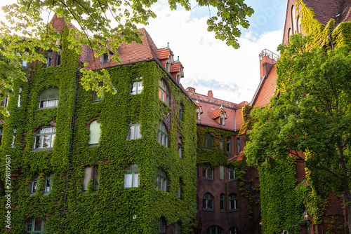 Historic Ivy Covered Brick Architecture in Green Courtyard