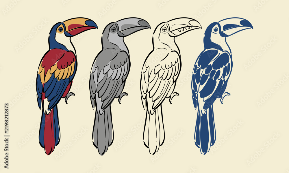 Obraz premium Artistic set of four toucan bird illustrations in various styles and colors for graphic design.