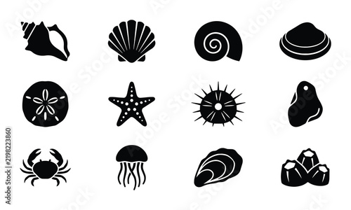 12 Nautical Icons: Seashells, Starfish, Crab, Jellyfish Vector Set, Ocean Life Graphics