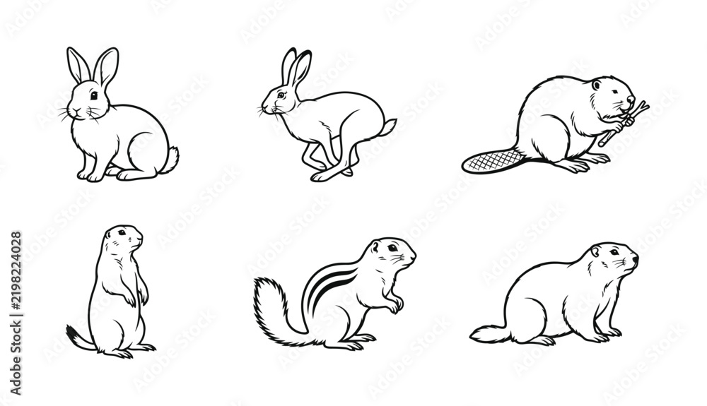 Obraz premium Set of hand drawn monochrome animal illustrations depicting various small