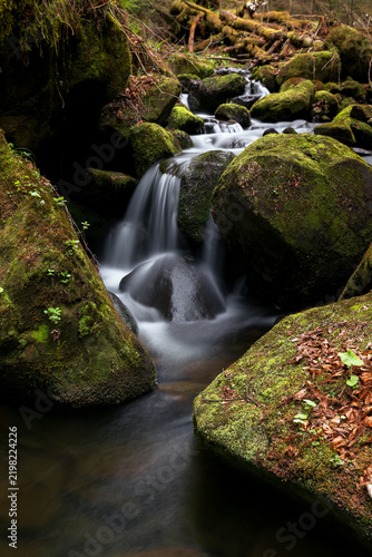 Waterfall on the mountain Carpathian river among mossy boulders, fast flow, crystal water. water flowing between mossy rocks. nature background with river through fores