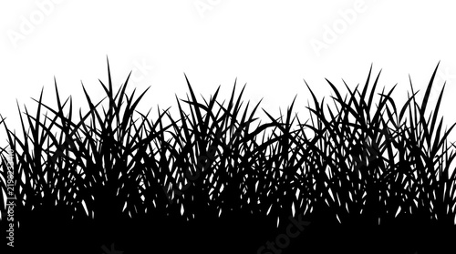 Black silhouette of grass blades isolated on a white background.