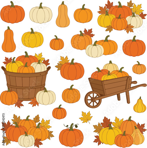 Collection of hand drawn pumpkins and autumn harvest elements in a cute fall themed illustration set