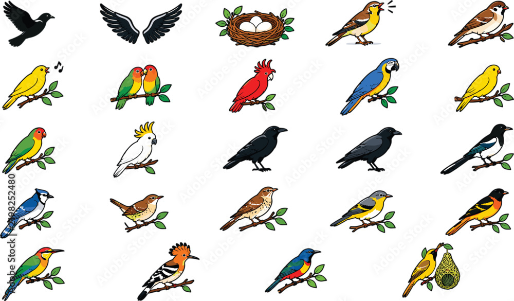 Obraz premium Collection of various colorful bird species illustrations