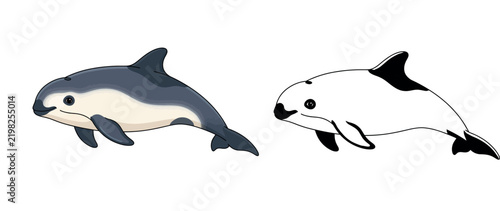 Rare Vaquita Porpoise Illustration coloring page