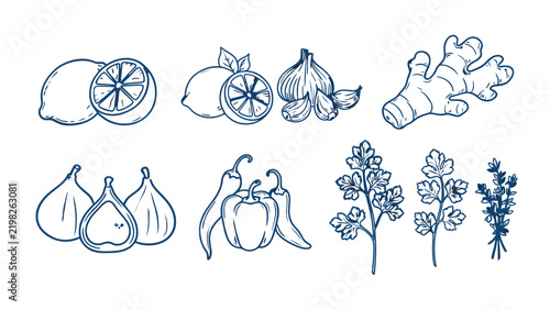 A collection of fruits vegetables and herbs is depicted in a blue line drawing citrus lemon lime garlic ginger