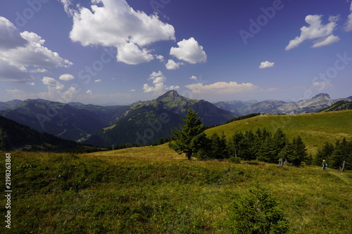 Tres jolie paysage et panoramique de Montagne chetal- France en été, 