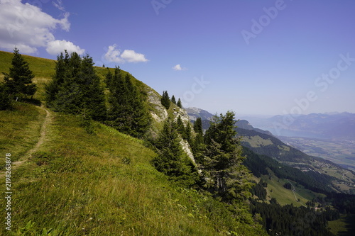 Tres jolie paysage et panoramique de Montagne chetal- France en été, 