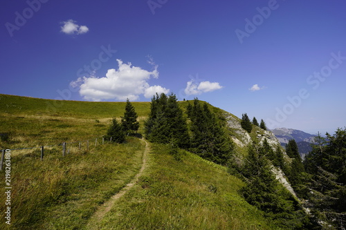 Tres jolie paysage et panoramique de Montagne chetal- France en été, 