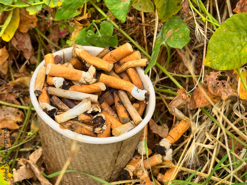 Discarded Cigarette Butts Overflowing from Paper Cup in Nature, Environmental Pollution and Litter Concept