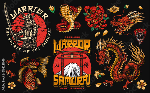 Warrior-themed illustration with dragon, snake