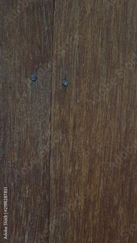 ants on the roof