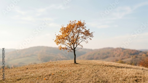 Lone golden autumn tree on grass hill under bright clear sky scenic fall landscape view