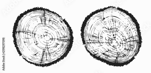 Tree trunk cut texture, wood slice annual rings vector pattern