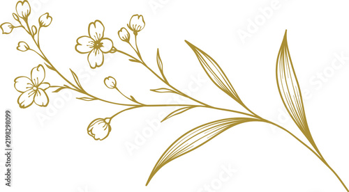 Hand Drawn Wildflower Botanical Line Art Sprigs Collections 