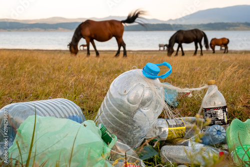 Картината върху платно Discarded plastic trash polluting Batak lake shore closeup herd grazing horses b