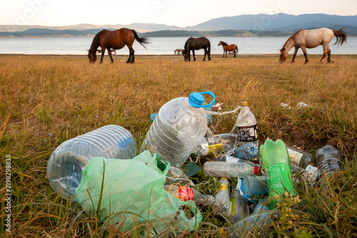Accumulated plastic bottle waste in grass at Batak lake with free horses grazing near water environmental pollution ecologic alert Bulgaria