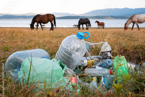 Plastic garbage scattered on grassy Batak lake shore with grazing horses in background environmental hazard nature protection issue Bulgaria