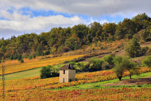 Cabotte dans le vignoble de Bourgogne en automne