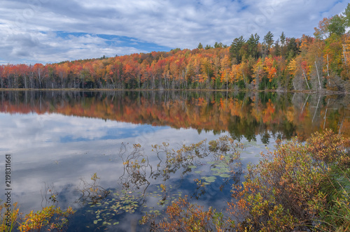 Autumn landscape of the shoreline Scout Lake with mirrored reflections in calm water, Hiawatha National Forest, Michigan's Upper Peninsula, USA