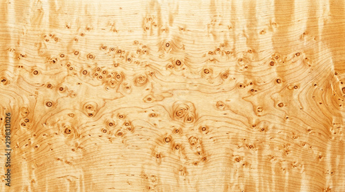 Natural Bird's Eye Maple Wood Texture Background with Unique Grain Patterns