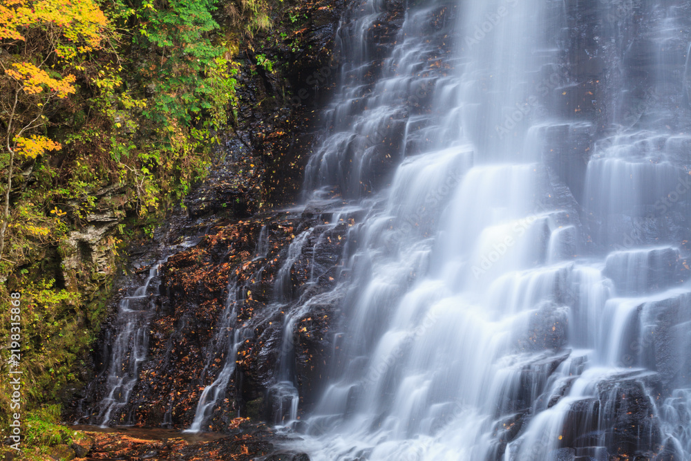 Fototapeta premium waterfall in autumn forest