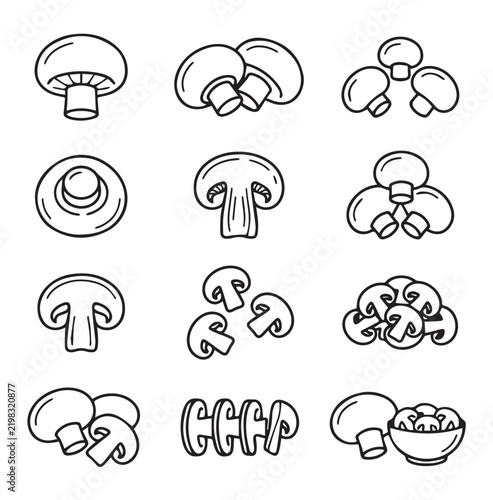 White Mushroom Varieties in Simple Outline Style Isolated on White Background for Healthy Food Concepts