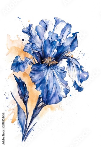 Blue Iris Watercolor Painting