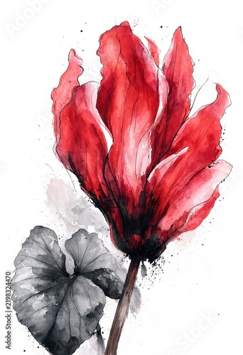 Vibrant Red Tulip Watercolor Painting with Black Leaves