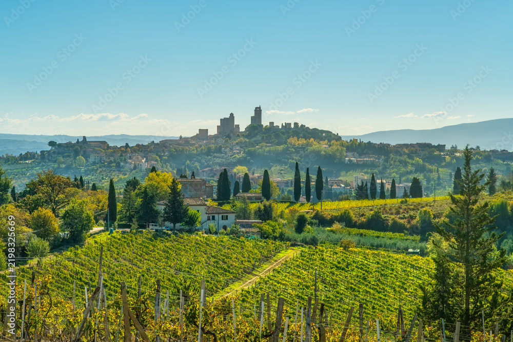 Obraz premium San Gimignano Skyline View with Vineyards and Cypresses, Tuscany