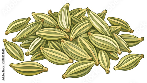 Pile of whole fennel seeds vector illustration isolated on white background