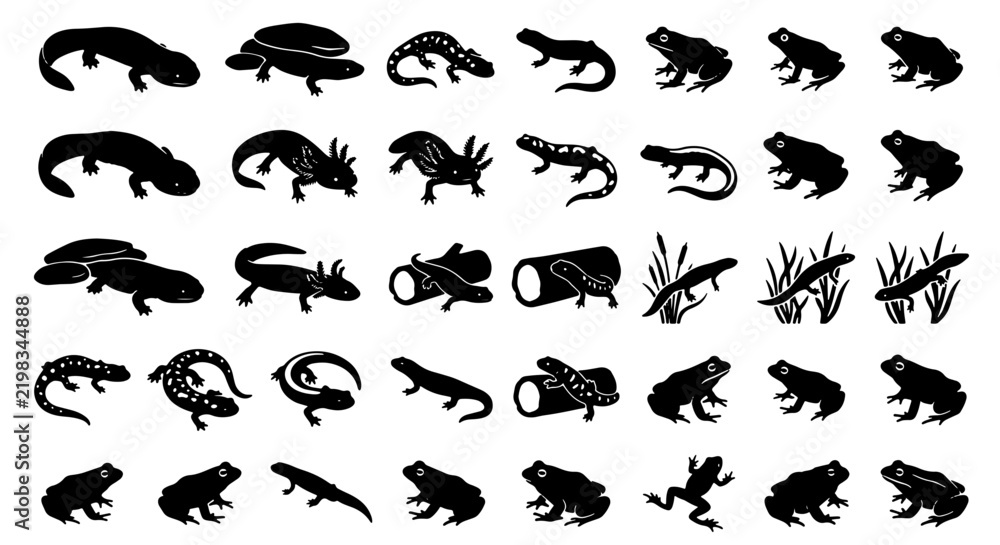 Fototapeta premium Amphibian and Reptile Silhouettes Collection, 36 Vector Icons for Wildlife and Nature Themes, Black and White Animal Graphics